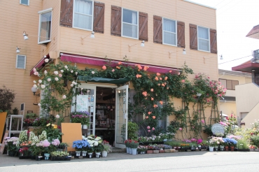 「フローリスト　四季彩」　（静岡県浜松市中央区）の花屋店舗写真1