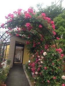 バラのアーチ｜「フローリスト　四季彩」　（静岡県浜松市中央区の花キューピット加盟店 花屋）のブログ