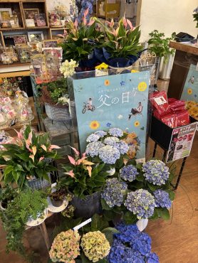 夏の日ギフト|「フローリスト　四季彩」　（静岡県浜松市中央区の花屋）のブログ